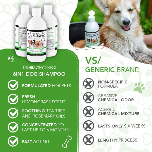 6 in 1 shop all natural dog shampoo