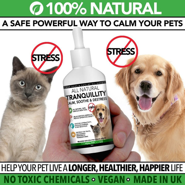 Oli essenziali calmanti per cani e gatti Gocce calmanti organiche